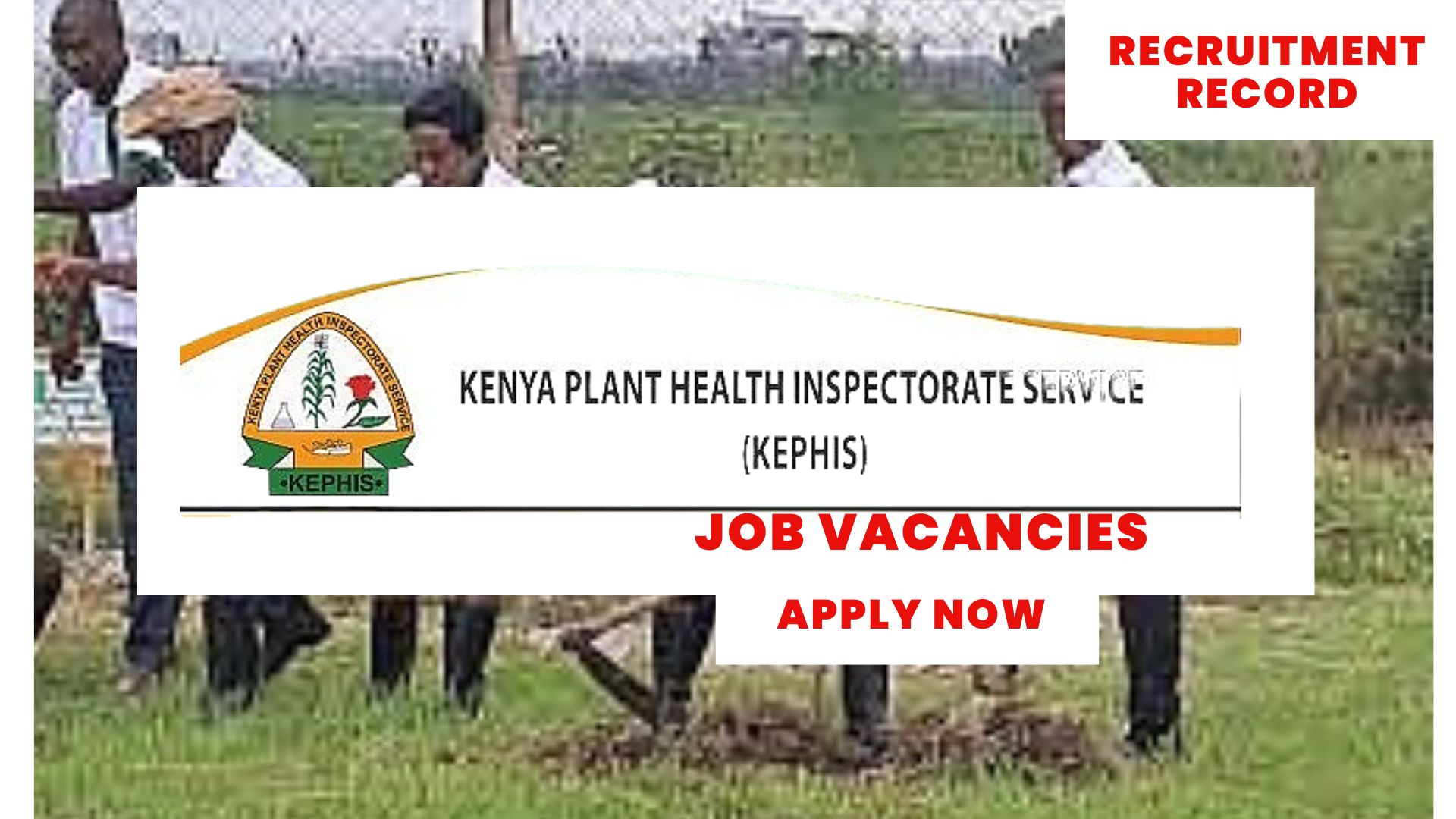 KEPHIS Job Vacancies